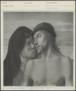 Milano, Pinacoteca di Brera, Giovanni Bellini, Pietà