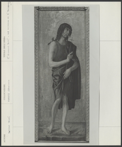 Venezia, Gallerie dell'Accademia, Giovanni Bellini, Trittico di San Lorenzo, San Giovanni Battista