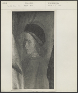 Milano, Pinacoteca di Brera, Giovanni e Gentile Bellini, San Marco predica in Alessandria