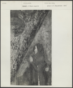 Bergamo. Santa Maria Maggiore - Maestro dell'Albero della vita, Albero della vita