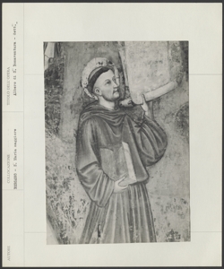 Bergamo. Santa Maria Maggiore - Maestro dell'Albero della vita, Albero della vita