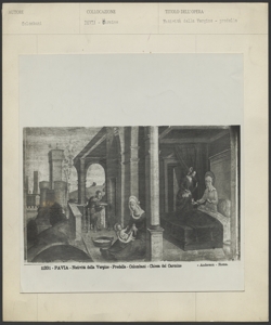 Chiesa di S. Maria del Carmine, Pavia - Bernardino Lanzani - Natività della Vergine