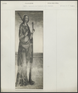 Cappella di San Salvatore, Santa Maria Teodote, Pavia - Bernardino Lanzani - S. Cecilia (o Santa Lucia?)