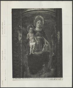 Chiesa di S. Maria del Carmine, Pavia - Scuola del Foppa (?) - Vergine col Figlio