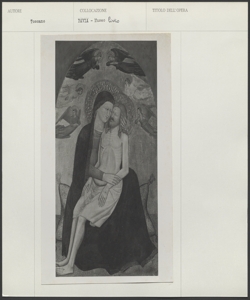 Pinacoteca Malaspina, Musei Civici, Pavia - Anonimo pisano sec. XIV - Pietà