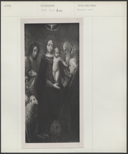 Pinacoteca Malaspina, Musei Civici, Pavia - Pittore pavese (1515-'20 ca.) - Madonna col Bambino tra san Giovanni Battista, san Gerolamo e un donatore