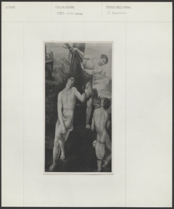 Pinacoteca Malaspina, Musei Civici, Pavia - Anonimo (copia da Cesare da Sesto) - Martirio di san Sebastiano