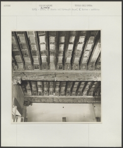 Biblioteca di Storia dell'Arte, Pavia - Anonimo sec. XV - Soffitto dell'antico Ospedale San Matteo (dett.)