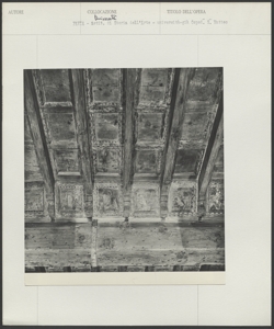 Biblioteca di Storia dell'Arte, Pavia - Anonimo sec. XV - Soffitto dell'antico Ospedale San Matteo (dett.)