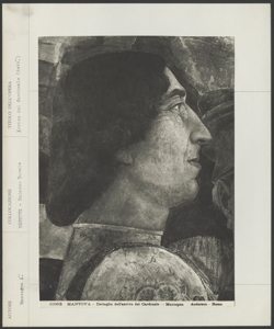 Mantova, Castello di San Giorgio, Andrea Mantegna, Camera degli Sposi