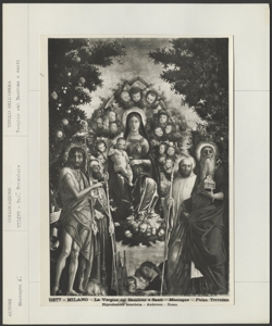 Milano, Pinacoteca, Castello Sforzesco, Andrea Mantegna, Pala d'Altare: Madonna con Bambino in gloria con san Giovanni Battista, san Girolamo, san Gregorio Magno e san Benedetto