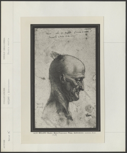 Milano, Biblioteca Ambrosiana, Melzi Francesco, Ritratto di busto di uomo calvo