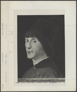 Pavia, Pinacoteca Malaspina, Musei Civici del Castello Visconteo, Antonello da Messina, Ritratto d'uomo