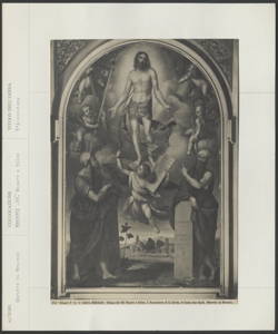 Brescia, Chiesa dei SS. Nazaro e Celso, Boncivino Alessandro, Ascensione