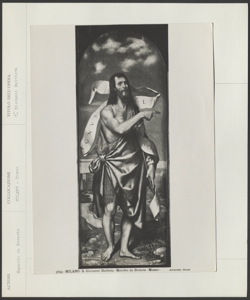 Collezione di dipinti della Pinacoteca del Castello Sforzesco, Bonvicino Alessandro, San Giovanni Battista