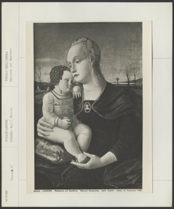 Lovere, Galleria dell'Accademia di Belle Arti Tadini, Benaglio Francesco, Madonna con Bambino