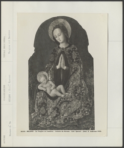 Collezione privata, Vivarini Antonio, Madonna in adorazione del Bambino