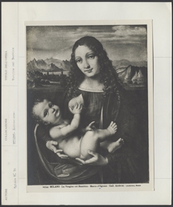 Milano, Pinacoteca Ambrosiana, Marco d'Oggiono, Madonna con Bambino