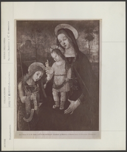 Città di Castello, Museo del Duomo, Bernardino di Betto, Madonna con Bambino e san Giovannino