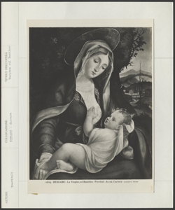 Bergamo, Accademia Carrara, Previtali Andrea, Madonna con Bambino