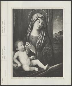 Roma, Galleria Doria Pamphilj, Nicolò Rondinelli, Madonna con bambino e san Giovanni Battista
