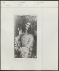 Bergamo, Accademia Carrara, Enea Salmeggia, San Domneone