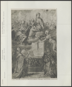 Bergamo, Accademia Carrara, Enea Salmeggia, Disegno per Madonna del Rosario