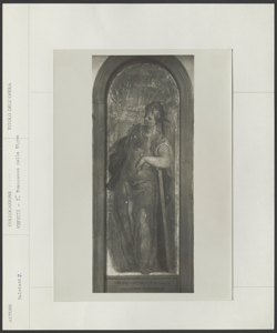 Venezia, Chiesa di San Francesco della Vigna, Giuseppe Porta, il Salviati, Santa in una nicchia