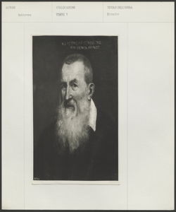 Vienna, Kunsthistorisches Museum, Meldolla Andrea, Ritratto