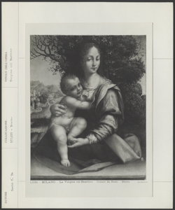 Milano, Pinacoteca Nazionale di Brera, Cesare da Sesto, Madonna con Bambino