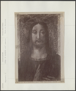 Città di Castello, Pinacoteca Comunale, Luca Signorelli, Testa del Redentore
