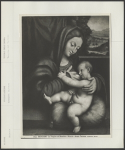 Bergamo, Accademia Carrara, Solario Andrea, Madonna con Bambino