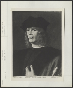 Milano, Pinacoteca Nazionale di Brera, Andrea Solario, Ritratto di giovane uomo