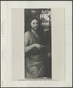 Milano, Museo Poldi Pezzoli, Andrea Solario, San Giovanni Battista