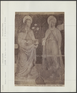 Assisi, Basilica di S. Maria degli Angeli, Tiberio d'Assisi, Santa Chiara e Sant'Elisabetta d'Ungheria