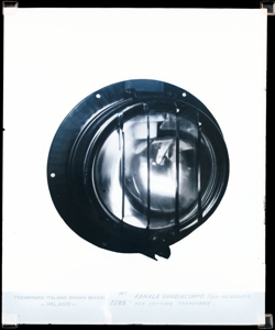 SUP-20580-0002286 pezzi singoli, materiali per SASF