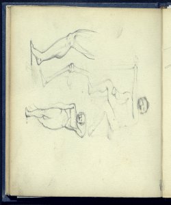 Studi anatomici e osteologici di due nudi maschili e di una gamba Bianchi, Mosè