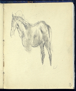 Abbozzo di cavallo Bianchi, Mosè