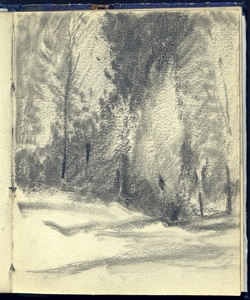 Strada alberata Bianchi, Mosè