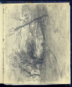 Strada alberata Bianchi, Mosè