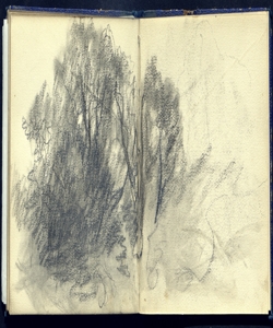 Gruppo d' alberi Bianchi, Mosè