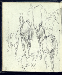 Schizzi di cavalli Bianchi, Mosè