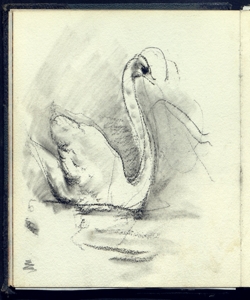 Cigno Bianchi, Mosè