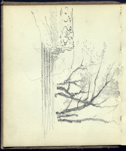 Schizzo con scalinata e gruppo d'alberi Bianchi, Mosè