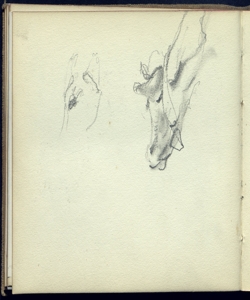 Abbozzo di una testa bovina Bianchi, Mosè