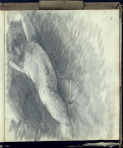 Nudo di bimbo Bianchi, Mosè