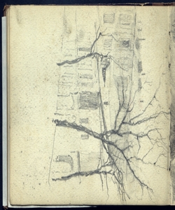 Case alberate Bianchi, Mosè
