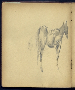Cavallo stante Bianchi, Mosè