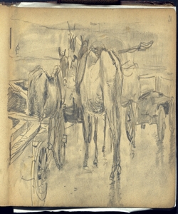 Carri con cavalli Bianchi, Mosè