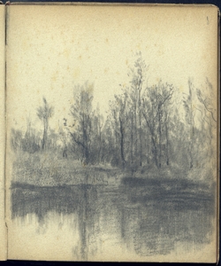Corso d'acqua alberato Bianchi, Mosè